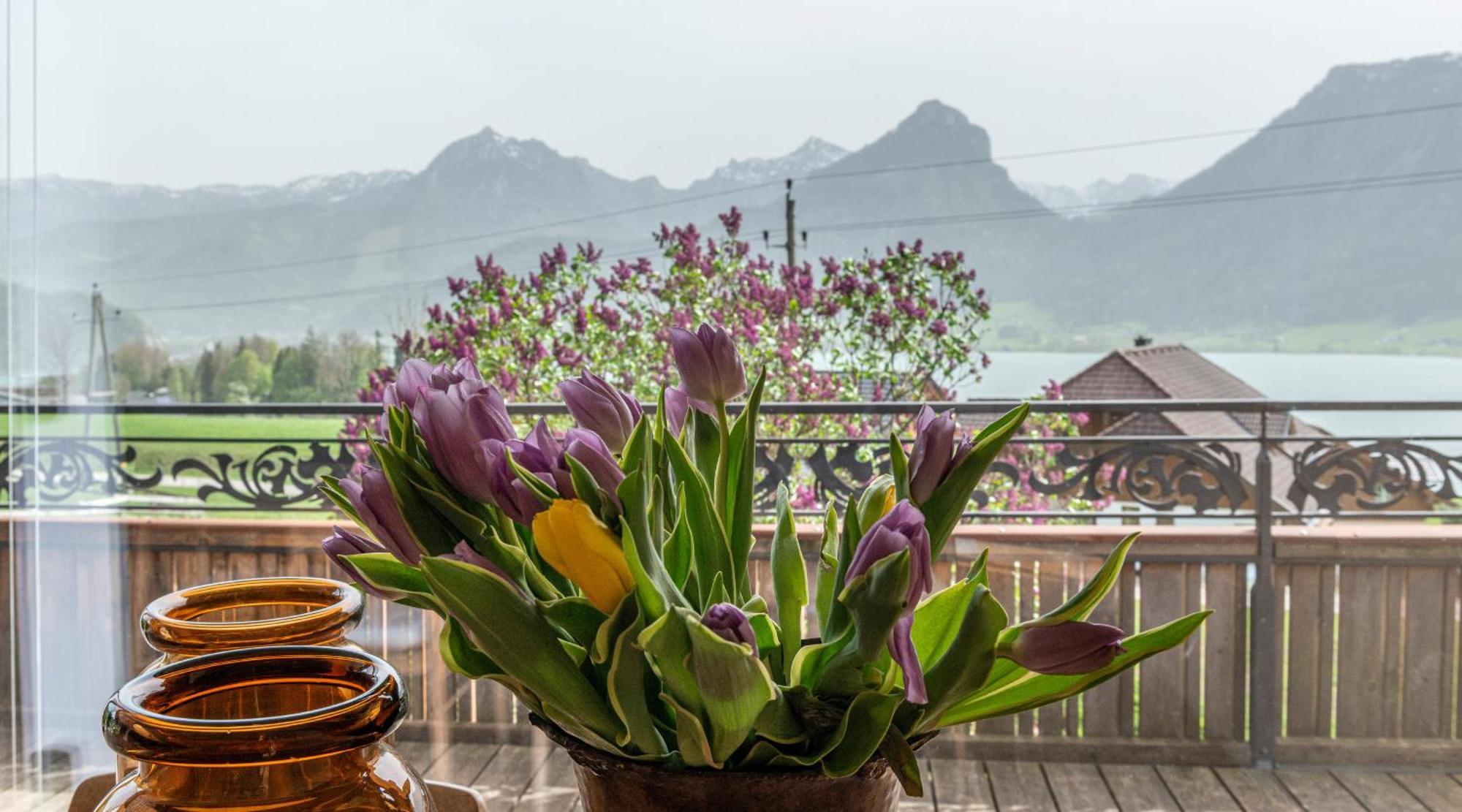 The View Apartment Sankt Wolfgang im Salzkammergut Ngoại thất bức ảnh